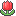 others_tulip others_tulip