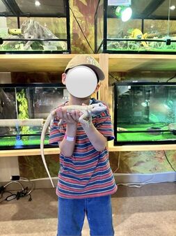 【延岡市のお出かけスポット】けんちゃん動物園に行ってきました！
